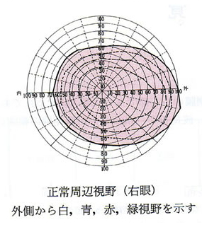 視野