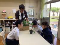 中学生がナスの苗を観察している画像