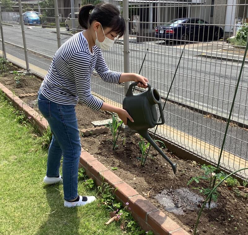 児童が植えた苗にじょうろで水をやっています