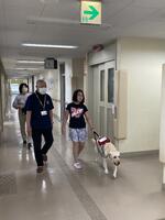 児童が盲導犬「ニクス」と一緒に歩いている様子
