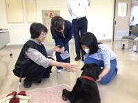 アシュリーと触れ合っている様子
