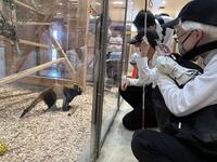 ＜桐生が岡動物園で小動物に釘付け＞
