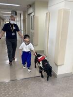 小学部児童が盲導犬と一緒に歩いている