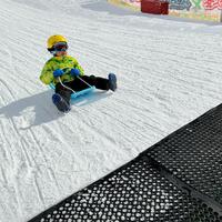 そりを滑る幼児