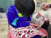 ネコにおやつをあげる児童