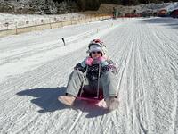 そりで滑る児童