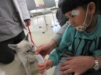 ネコにおやつをあげる幼児