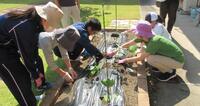 野菜の苗を植えている様子